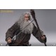 Lord Of The Rings The Fellowship of The Ring Gandalf 1/6 Scale Action Figure